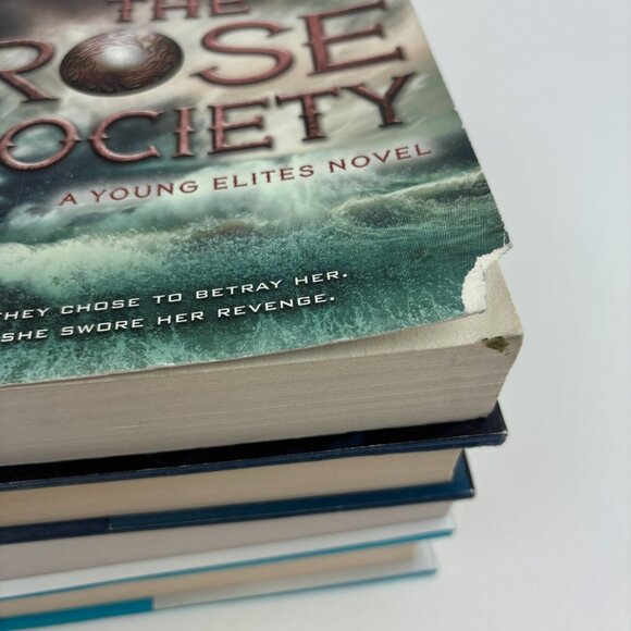 4 Lot of Marie Lu Books Rose Society & Young Elites & Midnight Star & War Cross - Picture 7 of 7
